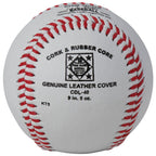 DIXIE YOUTH BASEBALL